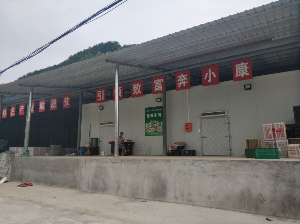 冷庫(kù)安裝現(xiàn)場(chǎng)