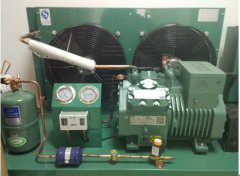 ?比澤爾壓縮機組，比澤