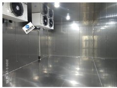 2020年中國冷凍冷藏食品行業(yè)細(xì)分市場(chǎng)發(fā)展現(xiàn)狀分